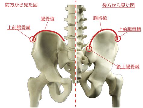 横腰